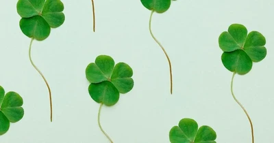 good-luck-charm-four-leaf-clover